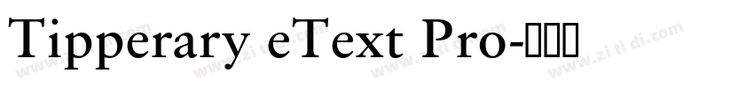 Tipperary eText Pro字体转换 Tipperary eText Pro字体转换